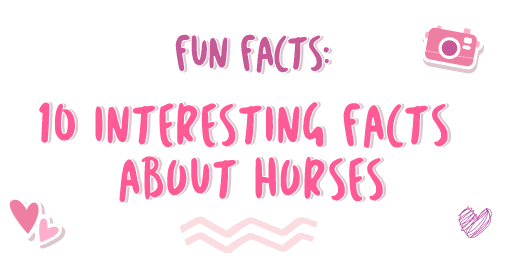 Fun Facts: 10 Interesting Facts About Horses